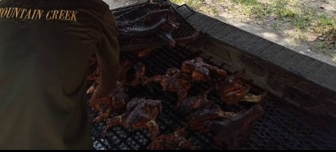 Braai area