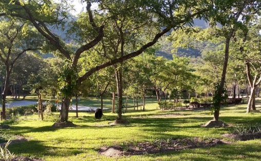 Farm 